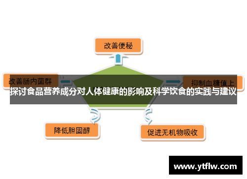 探讨食品营养成分对人体健康的影响及科学饮食的实践与建议